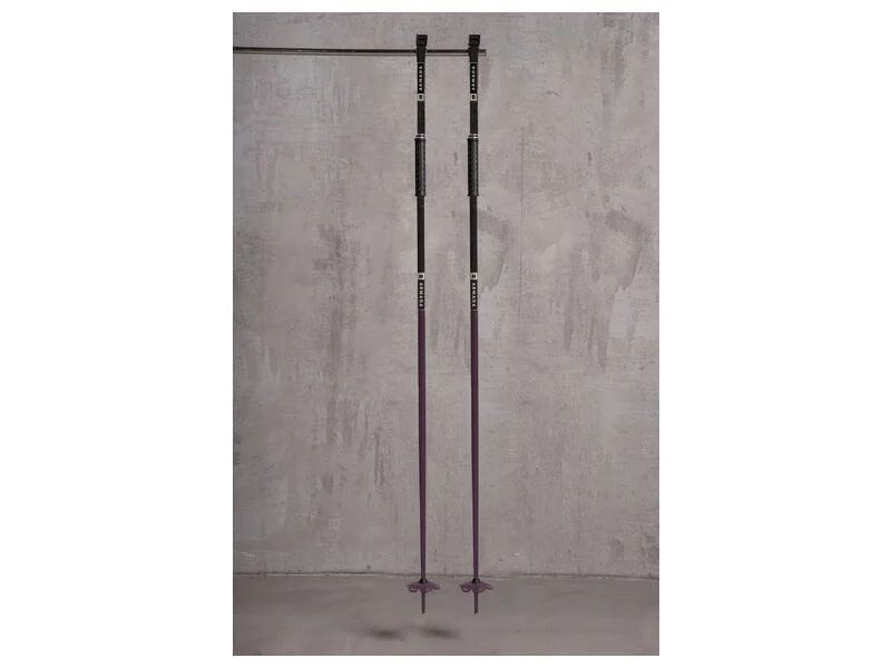 Skis for ski trade-Armada Legion Ski Poles - 2024