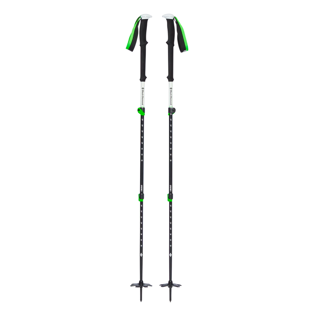 Skis for influencer-Black Diamond Expedition 3 Ski Poles - 2025