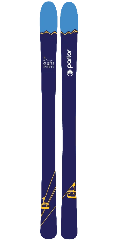 Skis for poles-NEDS (New England Disabled Sports)